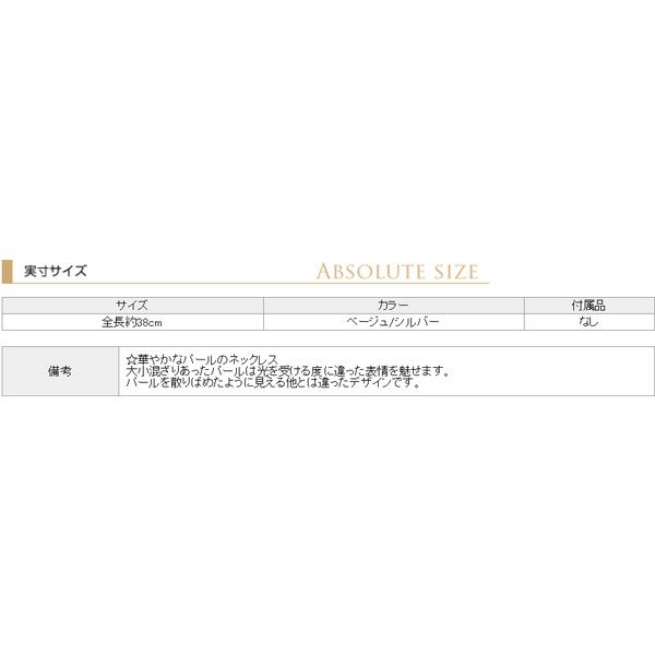 サイズ表