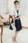 イメージ（シルバー）