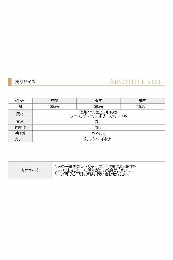 サイズ表
