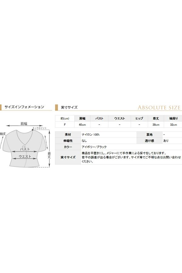 サイズ表