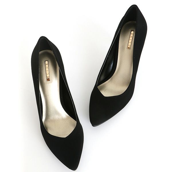 イメージ（ブラックヌバック）