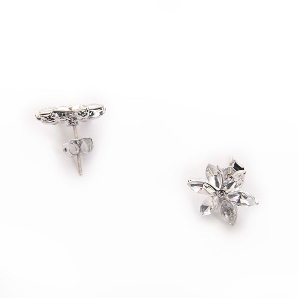 イメージ（ピアス）